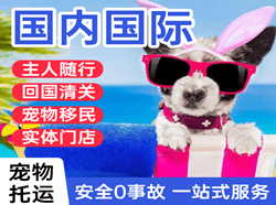 曹家堡国际宠物托运 【国